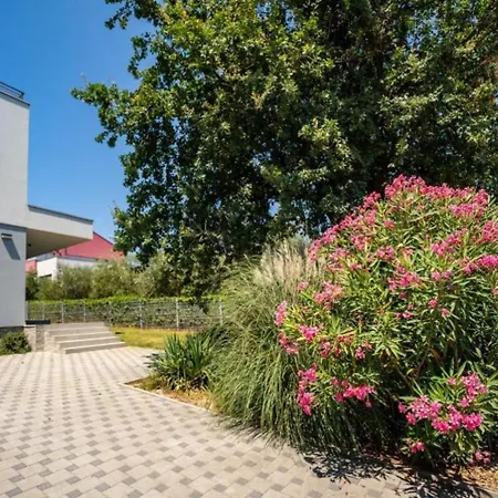 Chillax In For 10 People With 47 M2 Private Pool, Jacuzzi & Sea View - Only 400 Meters From Villa Medulin